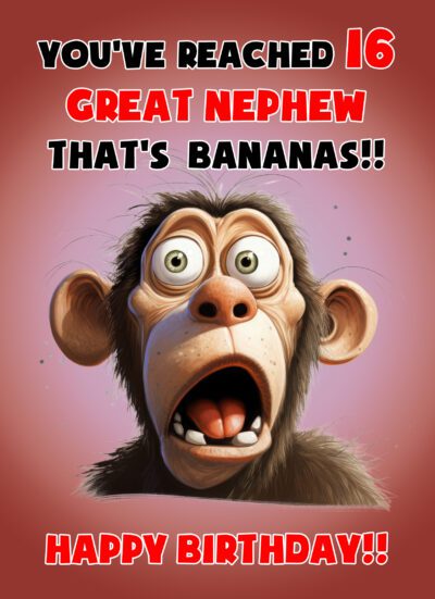 Great Nephew 16th Birthday Card (Funny Shocked Monkey Humour)