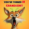 Grandson 18th Birthday Card (Funny Shocked Fox Humour) - 18a 20