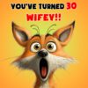 Wifey 30th Birthday Card (Funny Shocked Fox Humour) - 30a 54