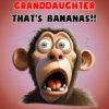 Granddaughter 45th Birthday Card (Funny Shocked Monkey Humour) - 45 50