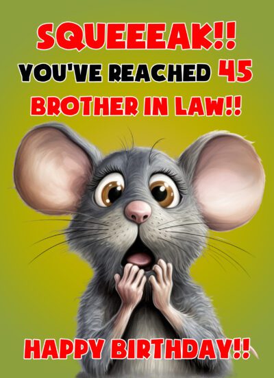 Brother in Law 45th Birthday Card (Funny Shocked Mouse Humour)