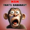 Mam 70th Birthday Card (Funny Shocked Monkey Humour) - 70 38