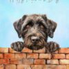 Wirehaired Pointing Griffon Dog Mothers Day Art Card for Mummy - mummy 103