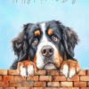 Bernese Mountain Dog Mothers Day Art Card for Nanna - nanna 16